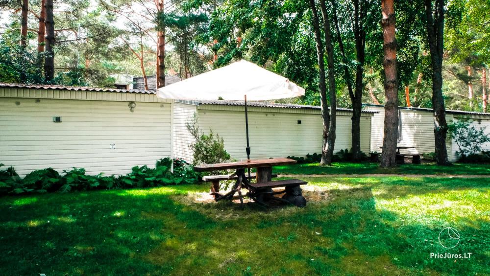Ferienanlage Žibintas in Šventoji - Ferienwohnungen und Ferienhäuser