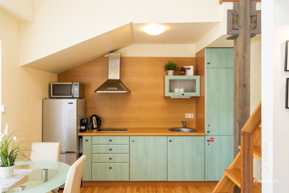 5* Apartment & SPA in Nida