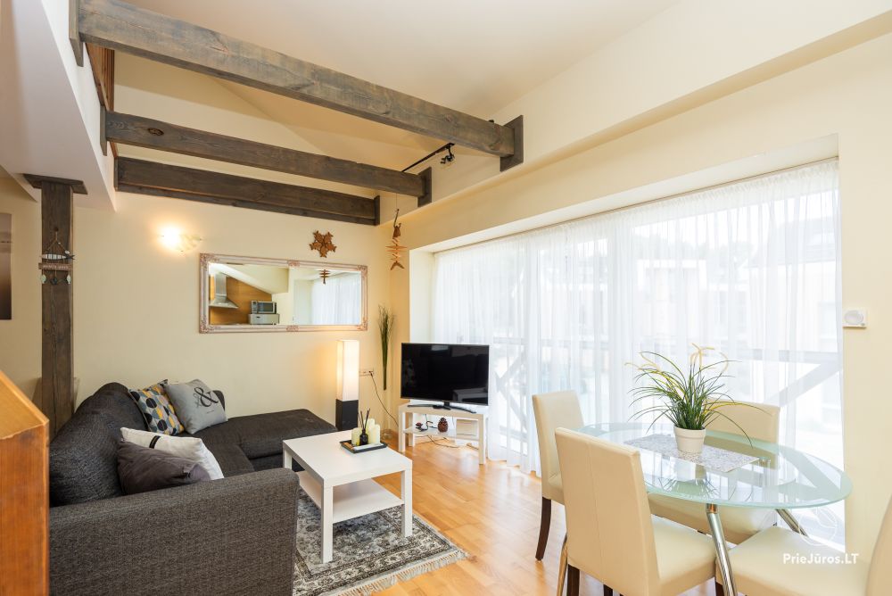 5* Apartment & SPA in Nida