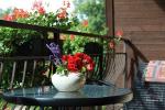 VILLA ARTEMIDE - Familienhotel in Palanga