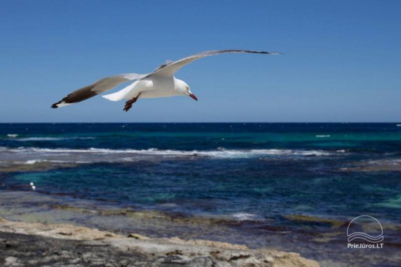 Ferienhaus Balci am Ufer des Meeres!