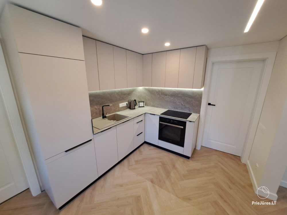 Stilvolle Wohnung mit privatem Garten und gemütlichem Haus mit Blick auf die Lagune zur Miete in Preila