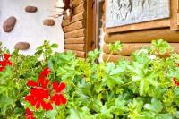 Ferienwohnung zu vermieten in Kunigiskiai