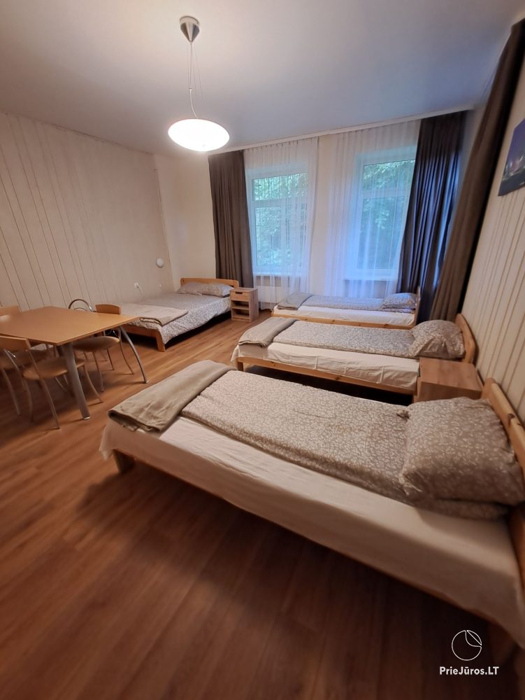Apartments in Juodkrantė „Pas Reginą“: neben Kiefernwald, Evas Hügel, nahe der Lagune
