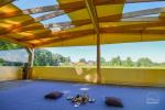 Camping und Wohnungen zur Miete in Karklė, 90m vom Meer - 6