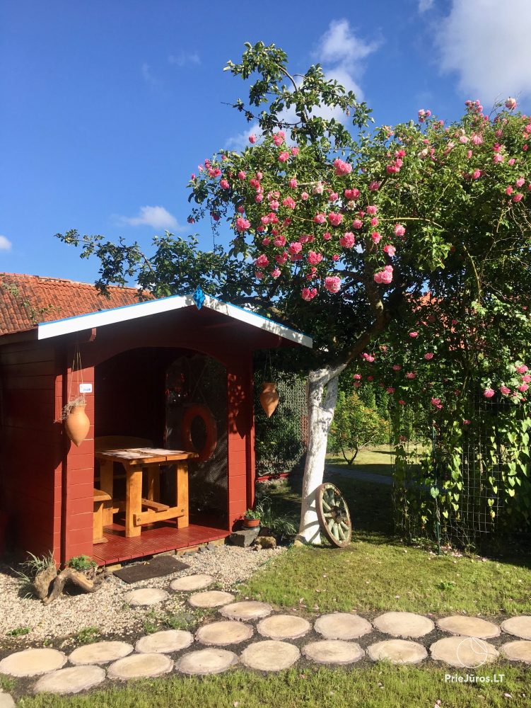 Urlaub in Juodkrante: alle Bequemlichkeiten, Parkplätze, Wi-Fi, Laube