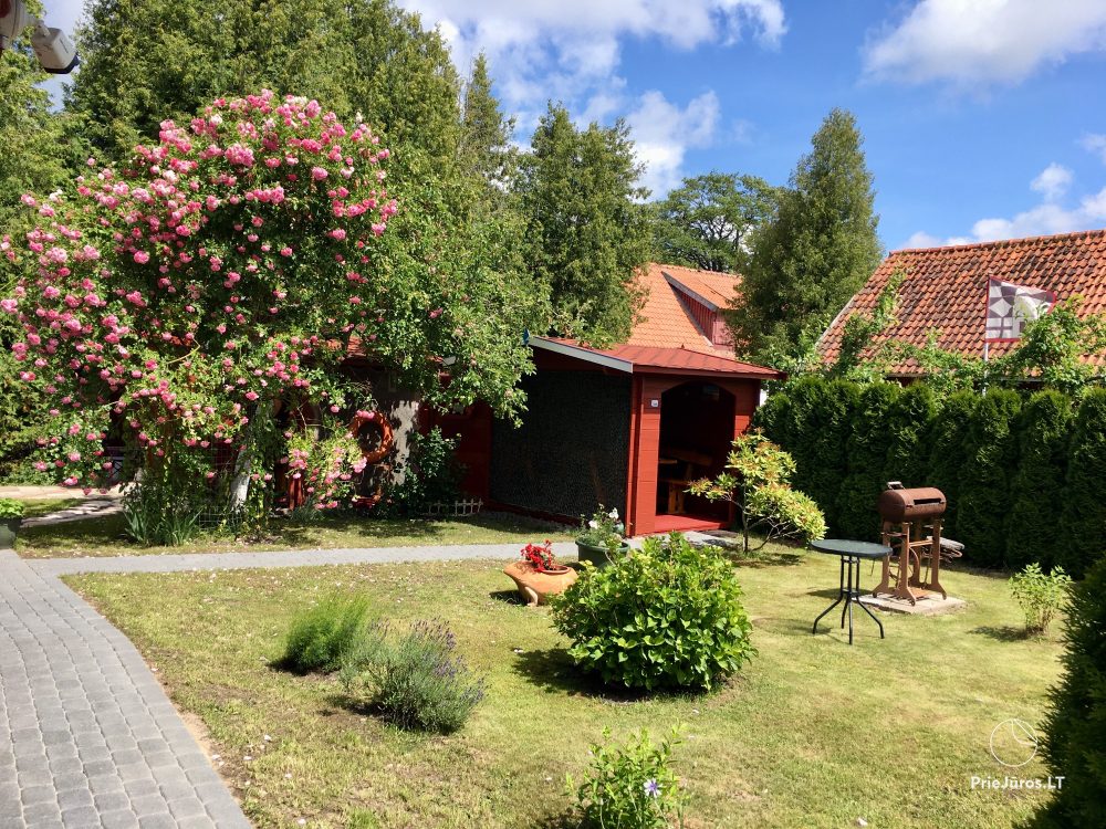 Urlaub in Juodkrante: alle Bequemlichkeiten, Parkplätze, Wi-Fi, Laube