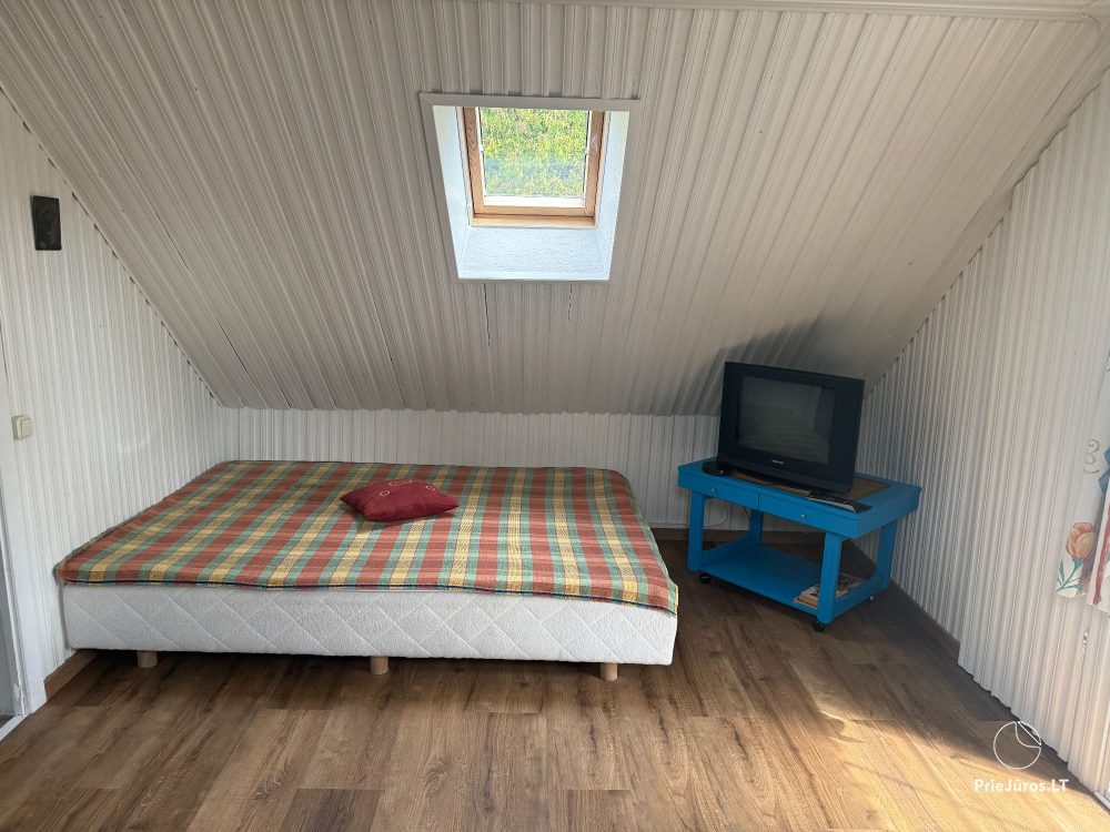 Urlaub in Juodkrante: alle Bequemlichkeiten, Parkplätze, Wi-Fi, Laube