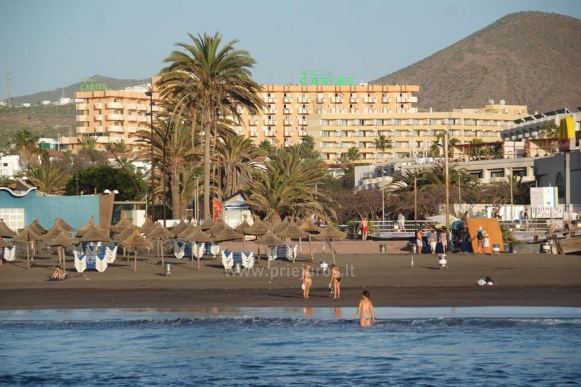 Apartments Caribe süden von Teneriffa - 1