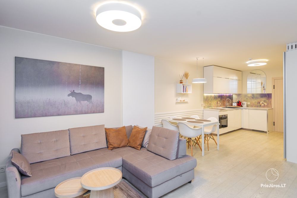 Neue geräumige Wohnung Nidos Vilnelė mit Terrasse und kostenlosem Parkplatz in Nida