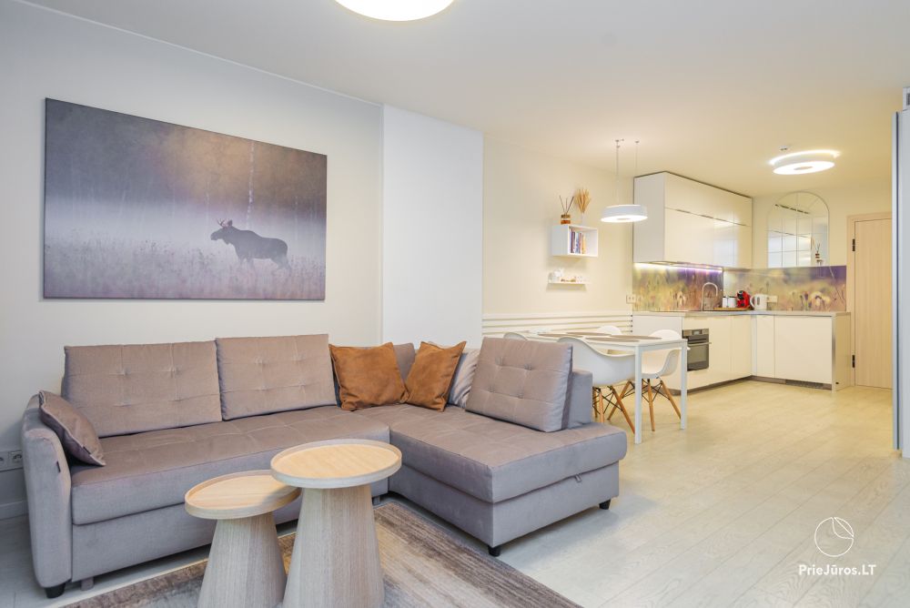 Neue geräumige Wohnung Nidos Vilnelė mit Terrasse und kostenlosem Parkplatz in Nida