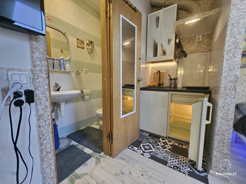 Wohnung zur Miete im Zentrum von Nida Palvės namai