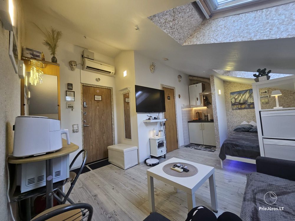 Wohnung zur Miete im Zentrum von Nida Palvės namai