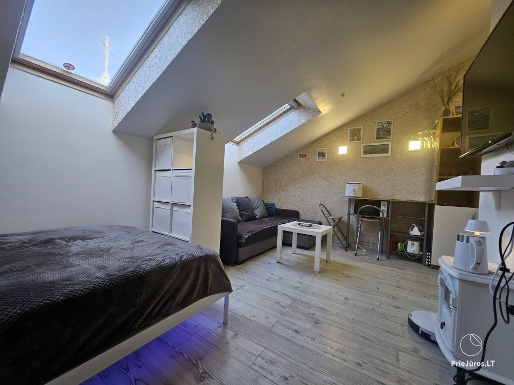 Wohnung zur Miete im Zentrum von Nida Palvės namai
