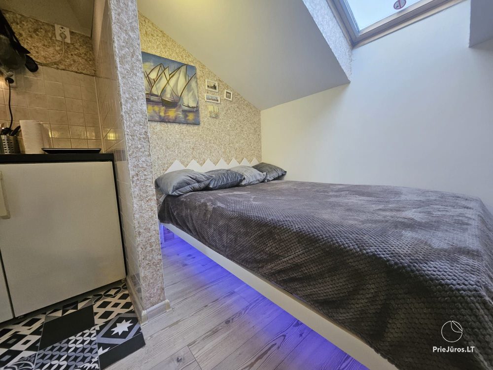 Wohnung zur Miete im Zentrum von Nida Palvės namai