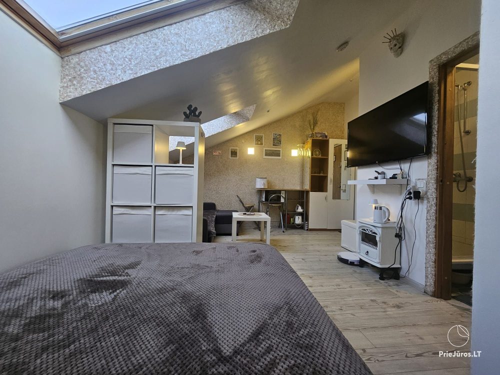 Wohnung zur Miete im Zentrum von Nida Palvės namai
