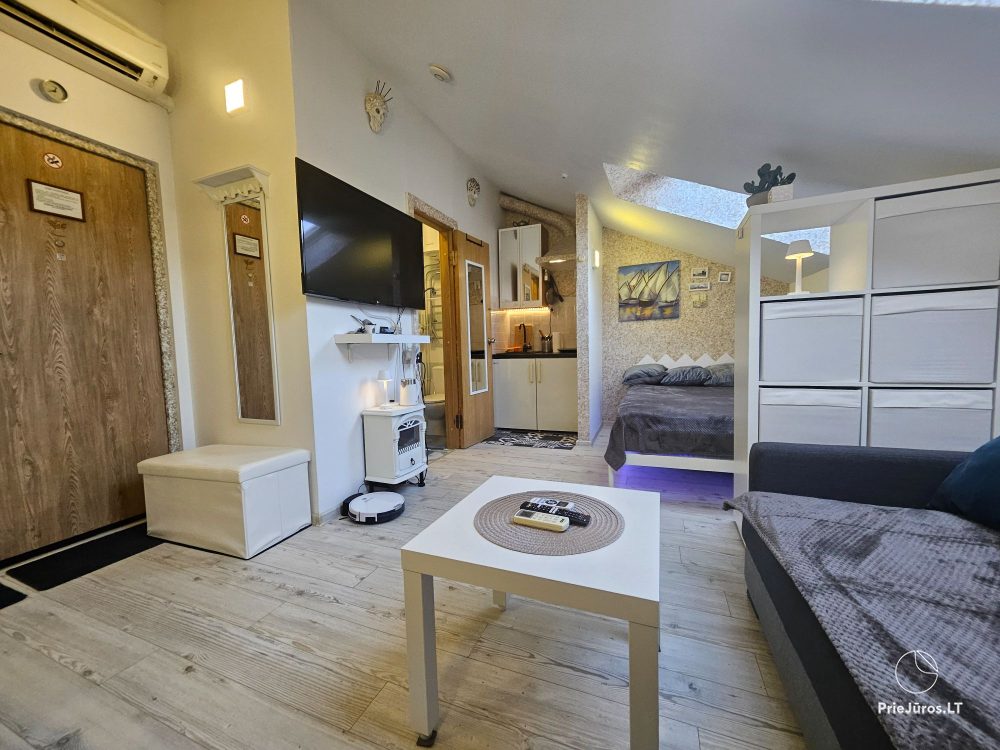 Wohnung zur Miete im Zentrum von Nida Palvės namai