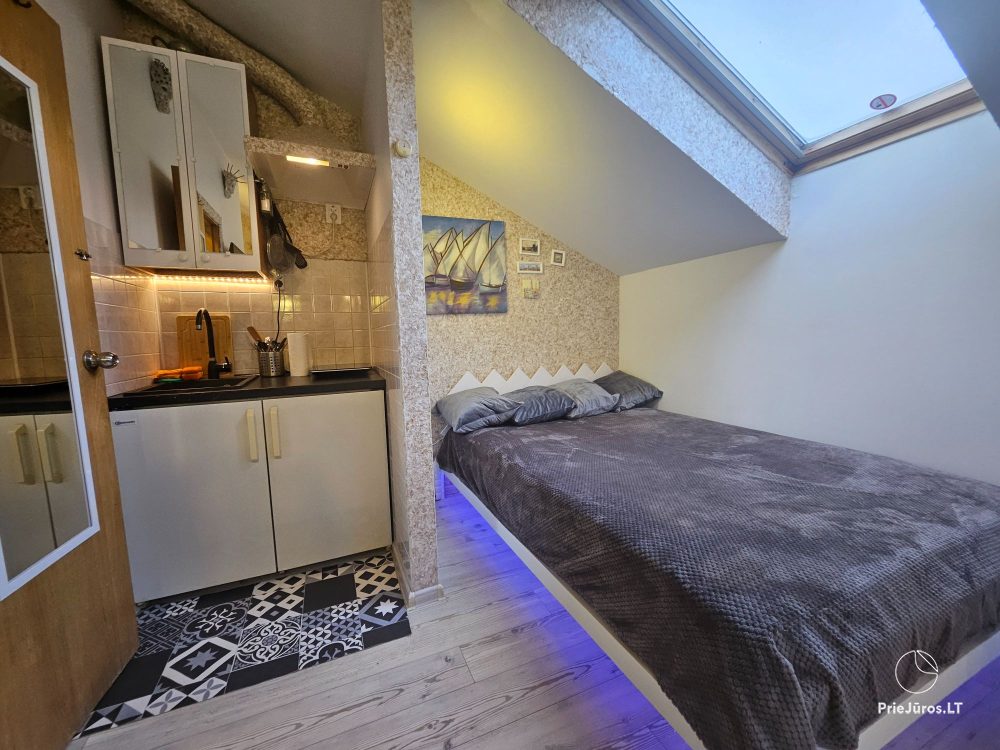 Wohnung zur Miete im Zentrum von Nida Palvės namai