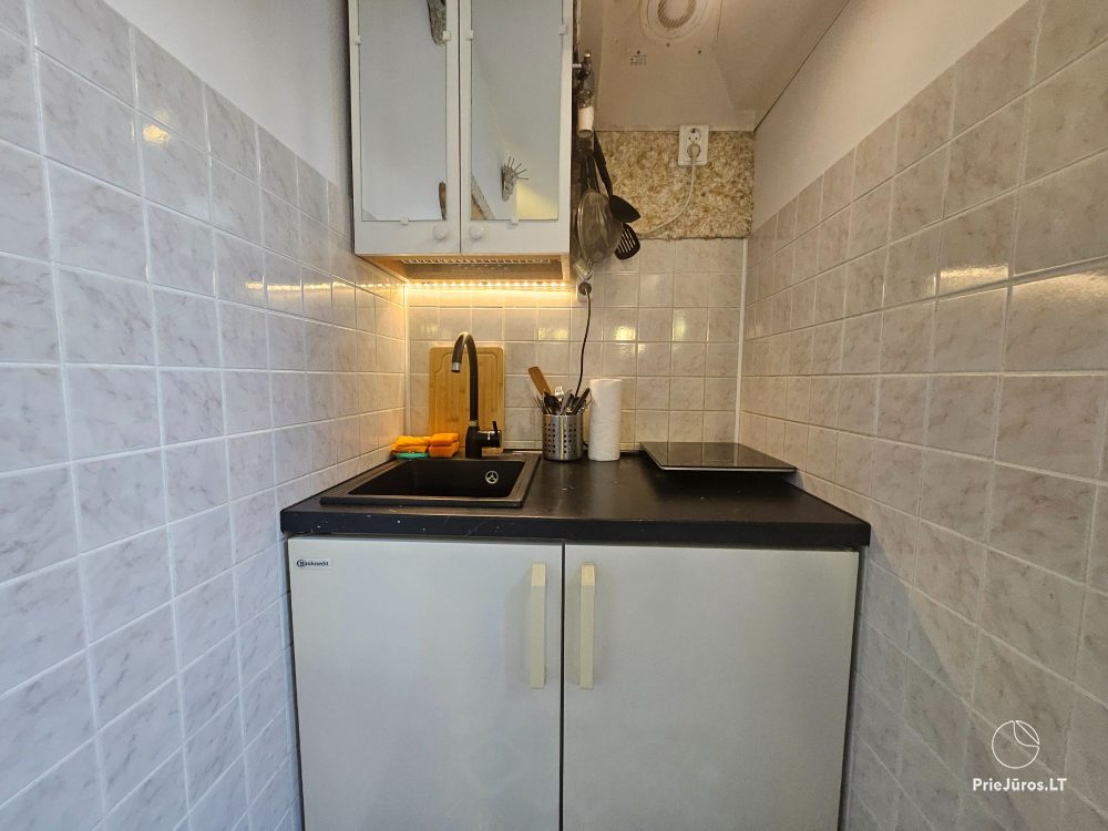 Wohnung zur Miete im Zentrum von Nida Palvės namai