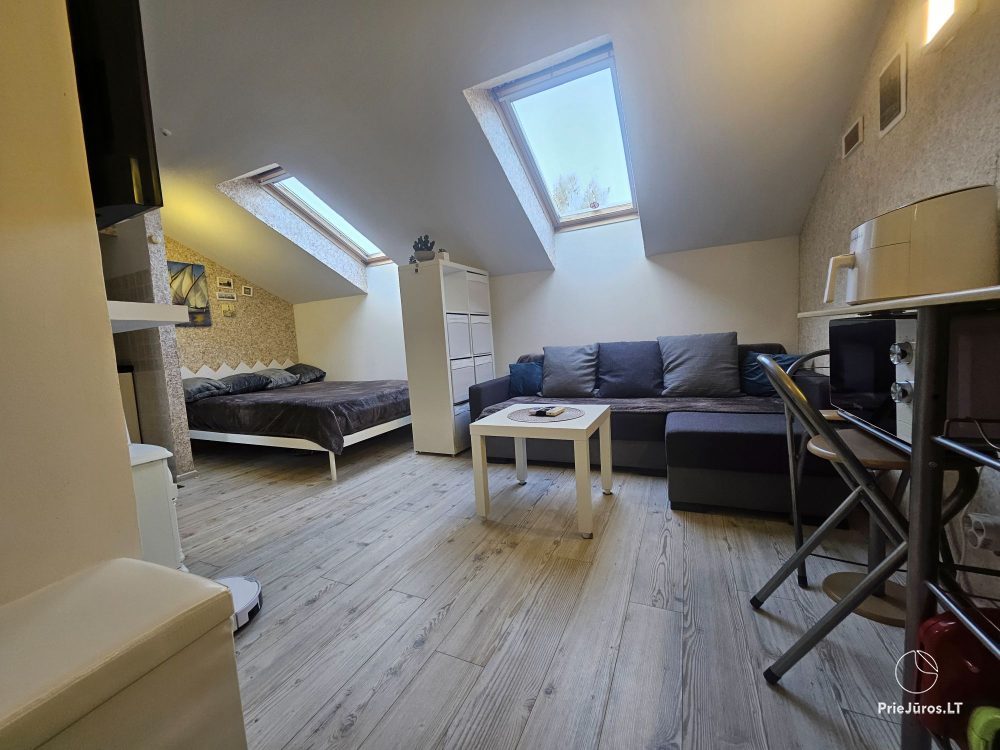 Wohnung zur Miete im Zentrum von Nida Palvės namai