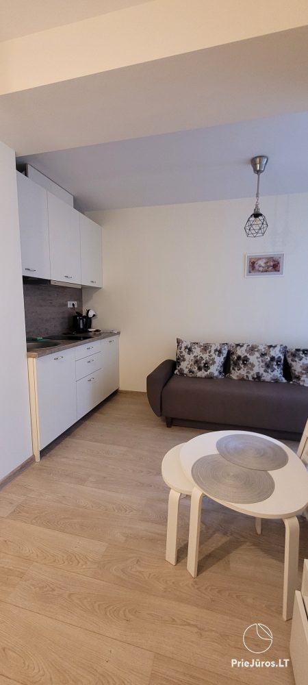 Gemütliche Ferienwohnung in Preila mit Terrassen in der Nähe der Kurischen Lagune