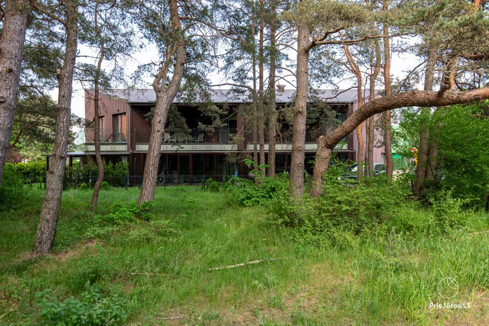 Apartments in Kunigiškiai. Terrasse mit Blick auf einen Kiefernwald, 200 m vom Meer entfernt