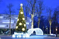 Weihnachtsbaum in Palanga und Šventoji