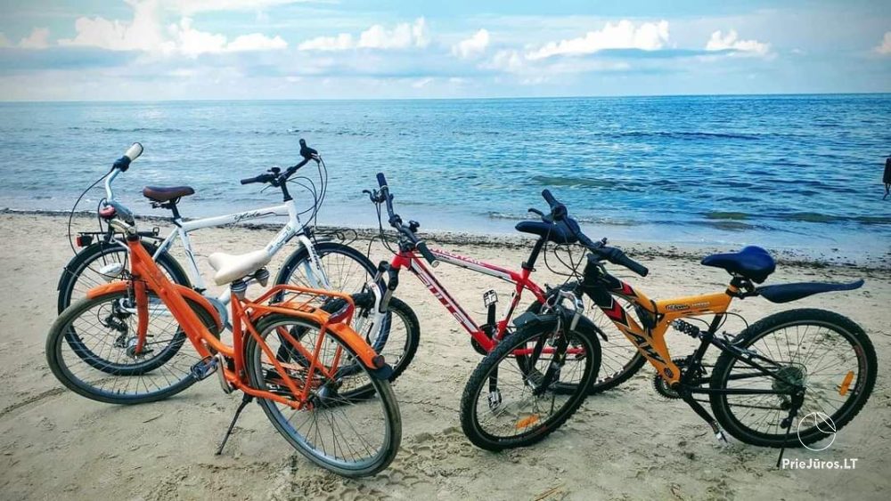 Fahrradverleih in Kretinga für die ganze Familie - 1
