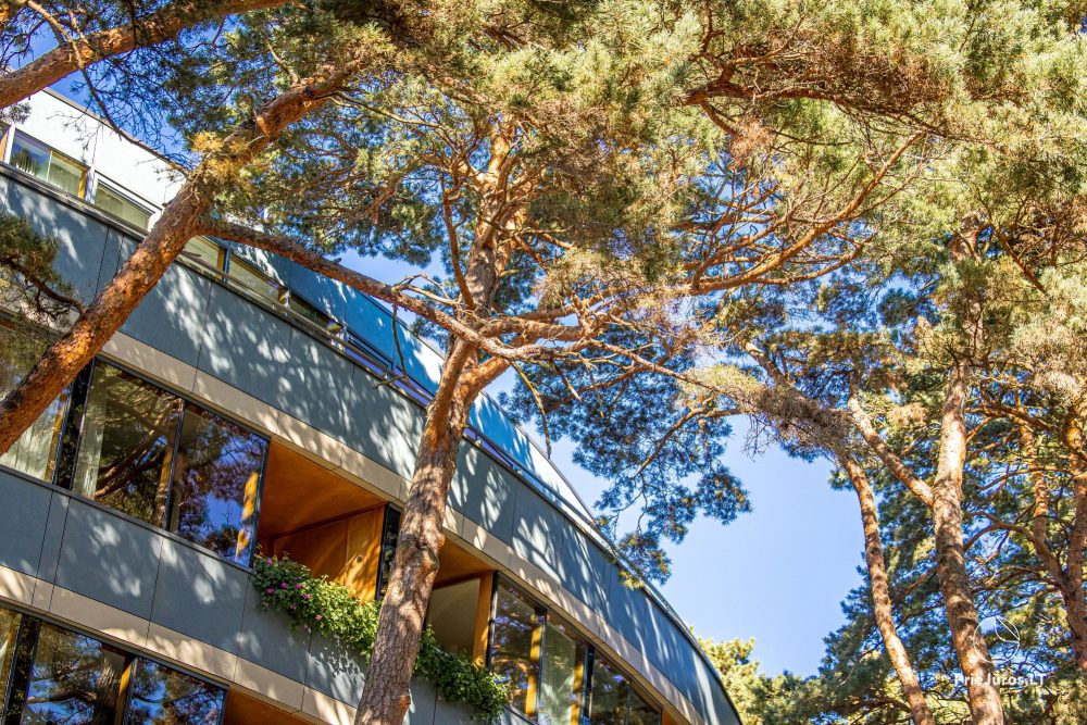 Neujahr in Palanga 2026 – im Hotel „Palanga Life Balance SPA“ *****