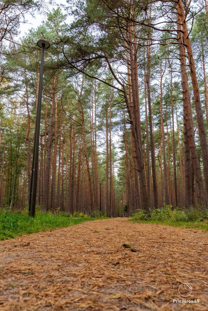 Lern- und Erkundungspfad „Melno takas“ in Palanga