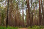 Lern- und Erkundungspfad „Melno takas“ in Palanga