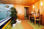 Sauna, Jacuzzi und Schwimmbad in Po Kastonu *** - 2