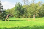Discgolf in Sventoji (Palanga) – Gehöft „Akmeninė sala“ - 5