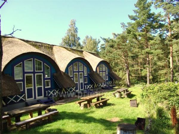Appartement im Cottage in Nida Fishmaster - 1