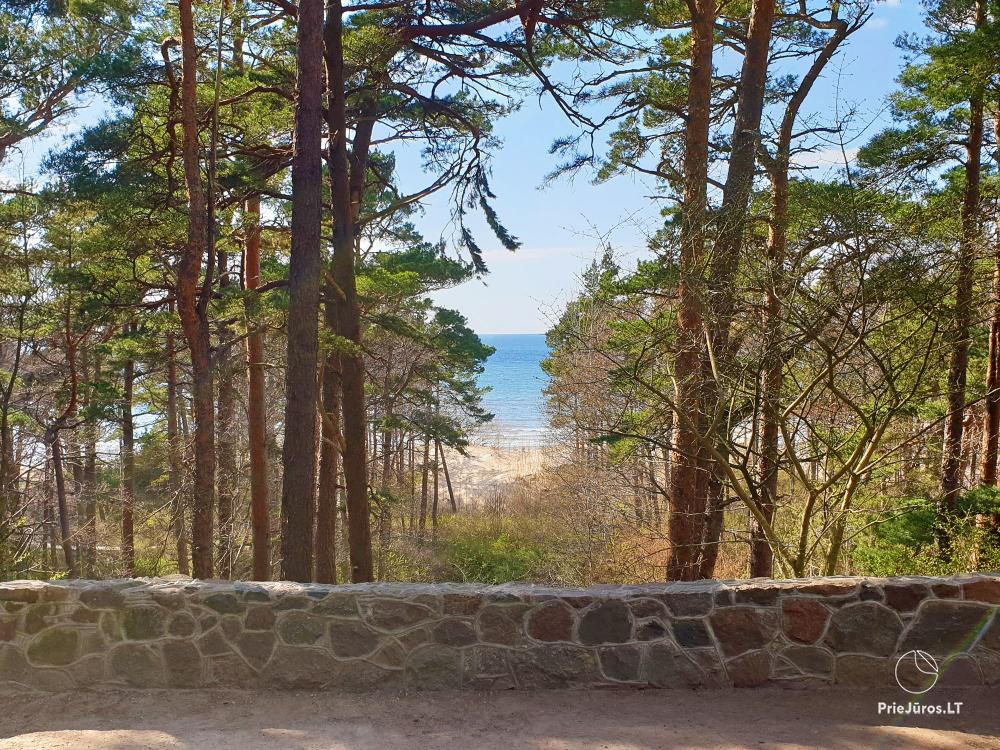 Birutė Hügel in Palanga