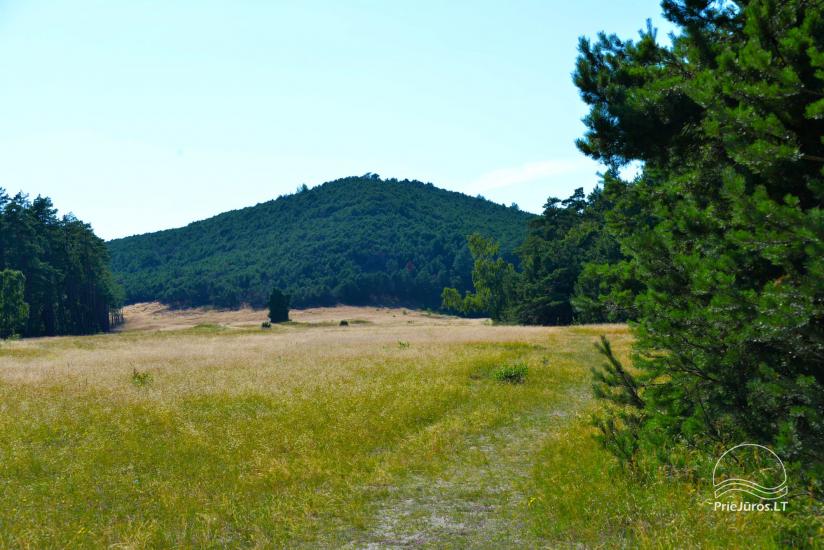 Vecekrugas-Düne in der Kurischen Nehrung - 1