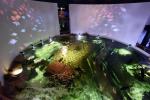 Litauisches Meeresmuseum - Delphinarium in Klaipeda - 3