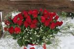Blumen, Geschenke in Nidden
