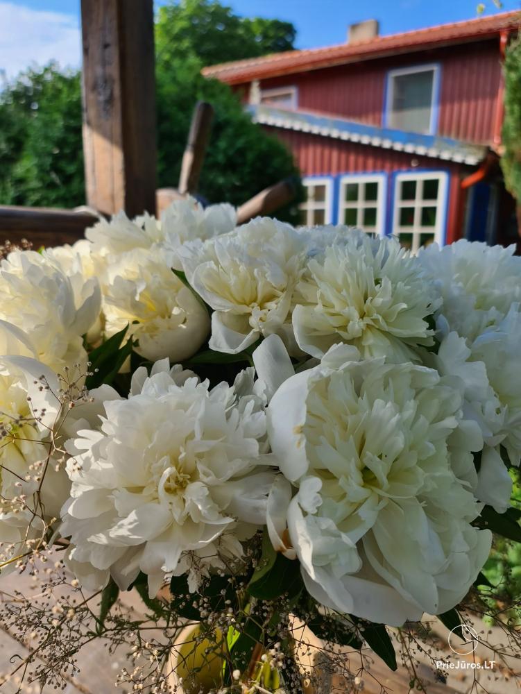 Blumen, Geschenke in Nidden