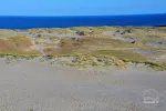Tal des Todes in Nida, Kurische Nehrung - 3