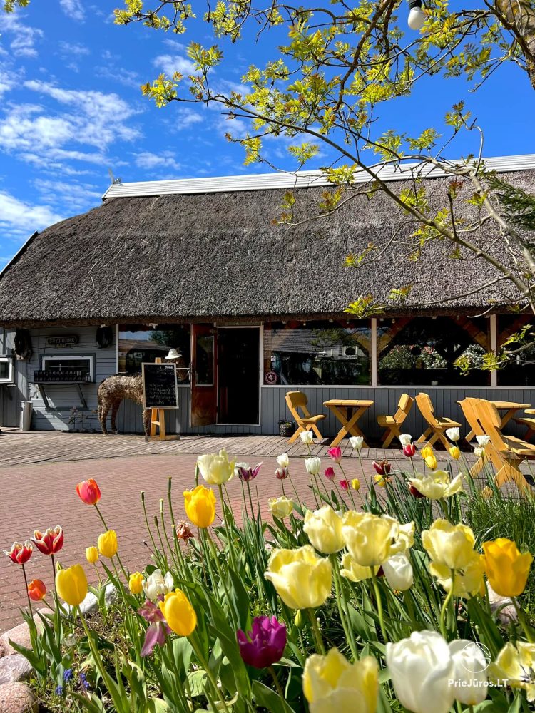 Cafe in Karkle - "Zvejo sodyba"