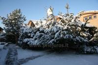 Apartment-Komplex in Palanga "Palangos Saulegraza"
