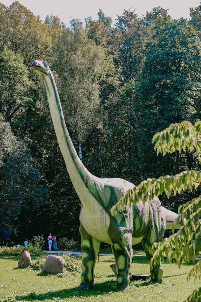 Dinosaur Park DINO.LT Radailiai in einem komplexen "Radailių dvaras" in der Nähe von Klaipeda