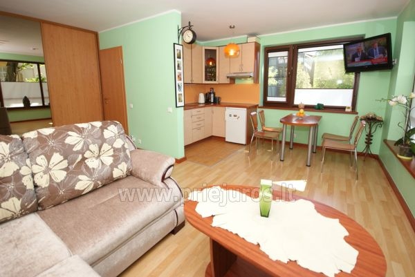 Ein-Zimmer Ferienwohnung in Schwarzort (Juodkrante), Kurische Nehrung, Litauen - 1