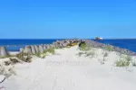 Fahrradwege Palanga - Nida (90 KM) - 2