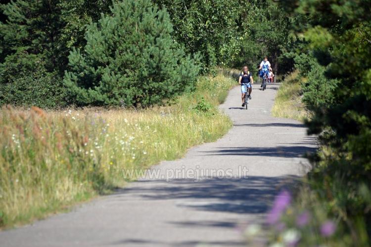 Fahrradwege Palanga - Nida (90 KM) - 1