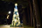 Weihnachtsbaumbeleuchtung in Šventoji am 5. Dezember 2026