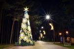 Weihnachtsbaumbeleuchtung in Šventoji am 5. Dezember 2026