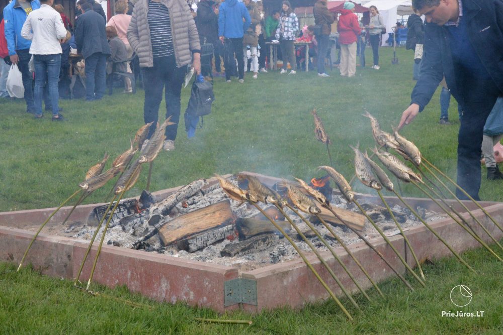 Fest in Neringa „Žiobrinės“ vom 24. bis 26. April 2026