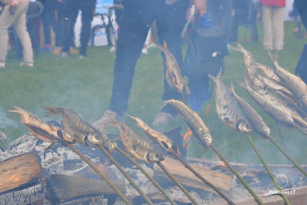 Fest in Neringa Žiobrinės 2025 25-27. April - 1